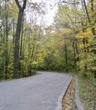 One of the many beautiful walkways in Mont Royal Park in Montreal