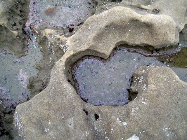 This tidepool in La Jolla looks like a crater from a moonscape. That is, if there is any water on the moon. Hopefully the recent collision of a NASA space vehicle into the moon will help answer that question definitively.
