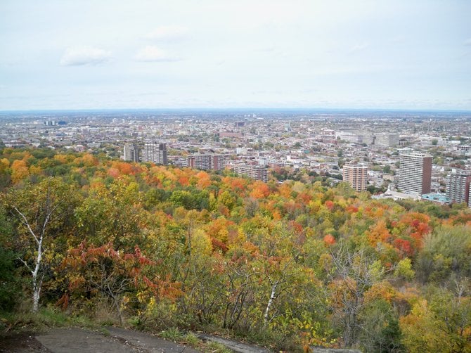 The colors of fall in Mont Royal Park, Montreal