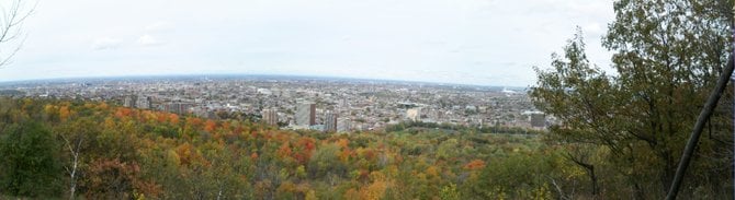 The colors of fall in Mont Royal Park, Montreal