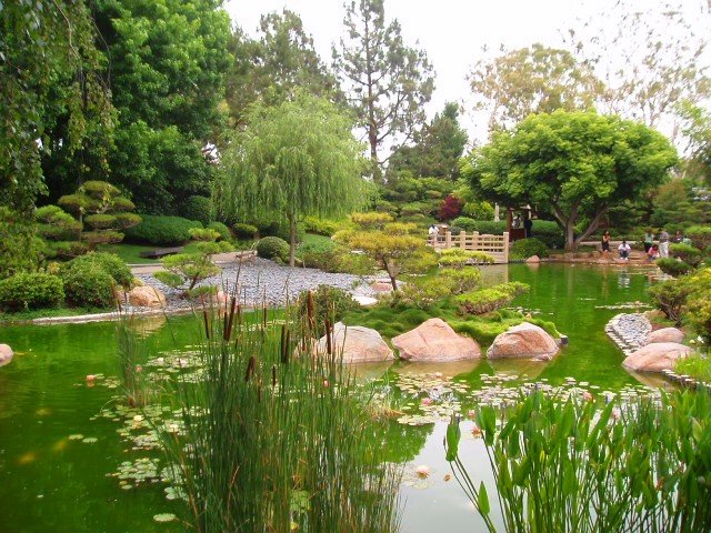 Earl Burns Miller Japanese Garden Long Beach San Diego Reader