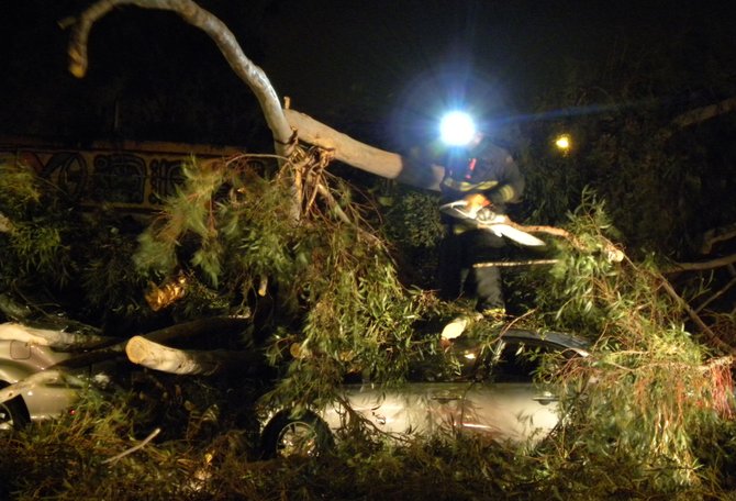 This photo was taken on December 7, 2009 in front of Centro Cultural de la Raza. A tree fell on top of the two parked vehicles.