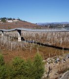 On this day in November 2009, The David Kreitzer Lake Hodges Bicycle Pedestrian Bridge in Escondido spanned a nearly dry lake bed. Today, a month …