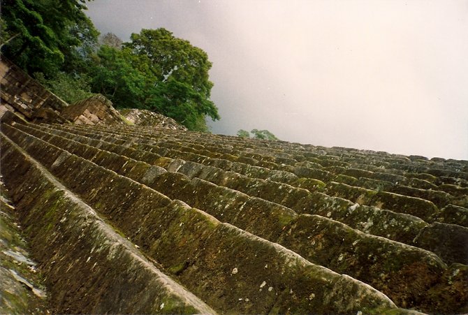 Steps of Ballcourt Plaza, Mayan Ruins, Quirigua, Honduras.  Taken in 1990.  