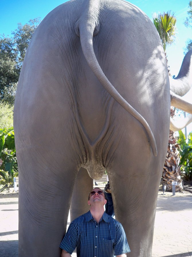 Me checking out the elephant statue at the Zoo's new Elephant Odyssey.