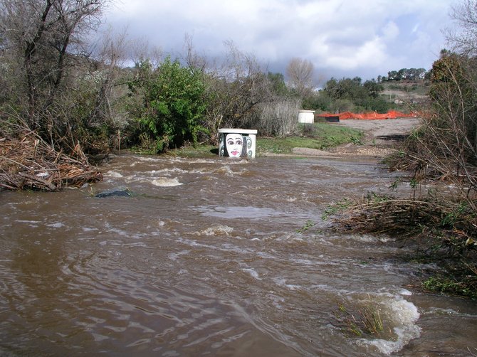 Rancho Penasquitos Creek, January 22nd, 2010, after three days of rainfall.  