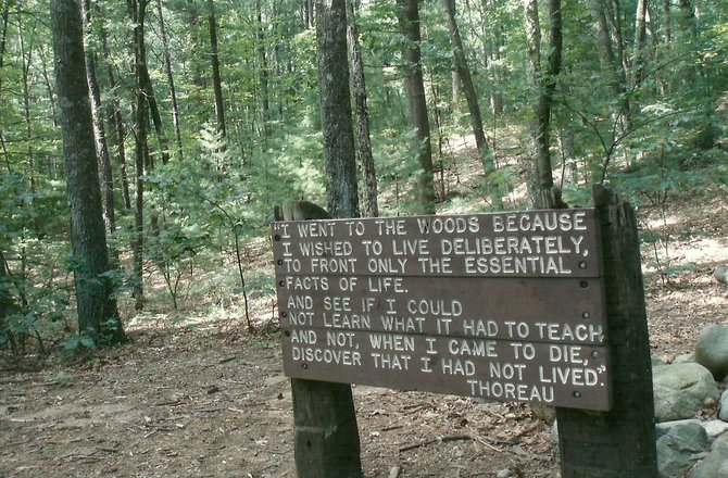 This sign stands next to the site of Thoreau's cabin in Walden Woods.