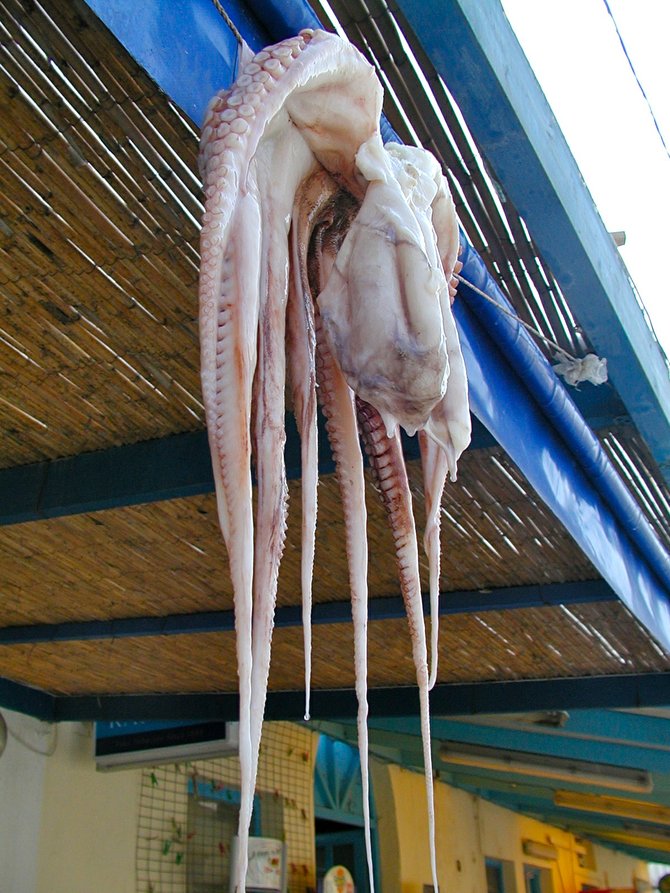 Hanging Her Out to Dry: Octopus, Naxos, Greece
