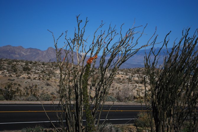 Borrego Springs