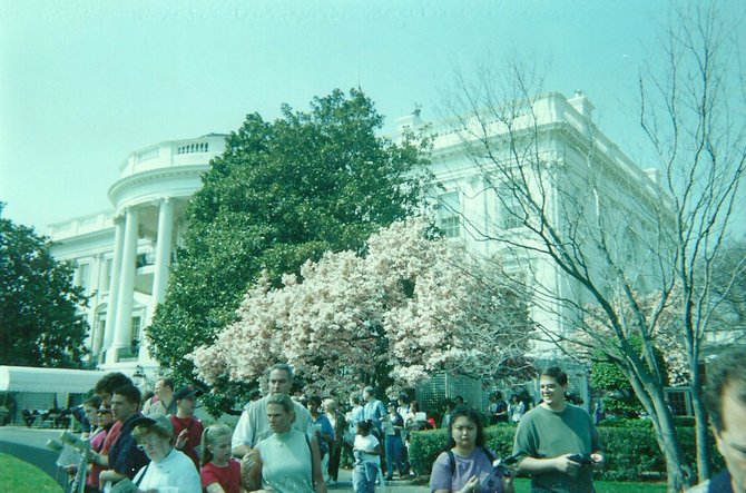 Taken in April 2001 when it was possible for a crowd of visitors to take a stroll on the White House lawn.  