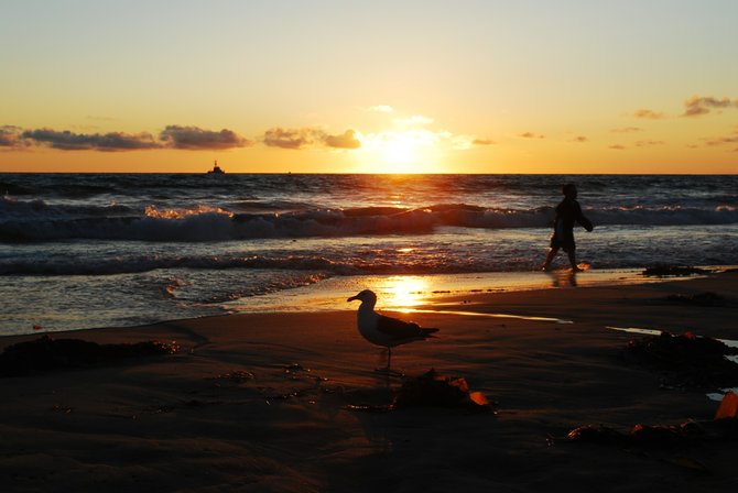 Sunset at Mission Beach (2).