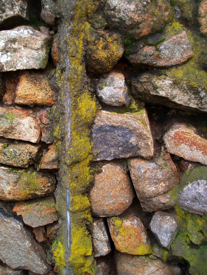 Not to be outdone by lichen, the moss on the rock walls at the Mt. Helix amphitheater put on a brightly colored show of their own.