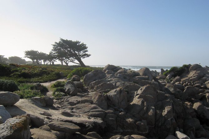 A blustery day along the coast in Pacific Grove near Monterey.
