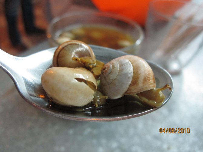 Caracoles, (aka regular garden snails) cooked in light broth, enjoyed by many locals in Cordoba, Spain