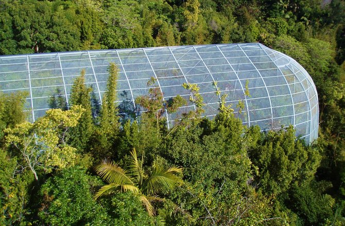 Above one of the aviaries at the San Diego Zoo.