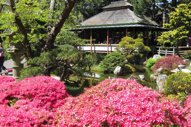 The Japanese Tea Garden in Golden Gate Park. This is a great place to relax in San Francisco.
