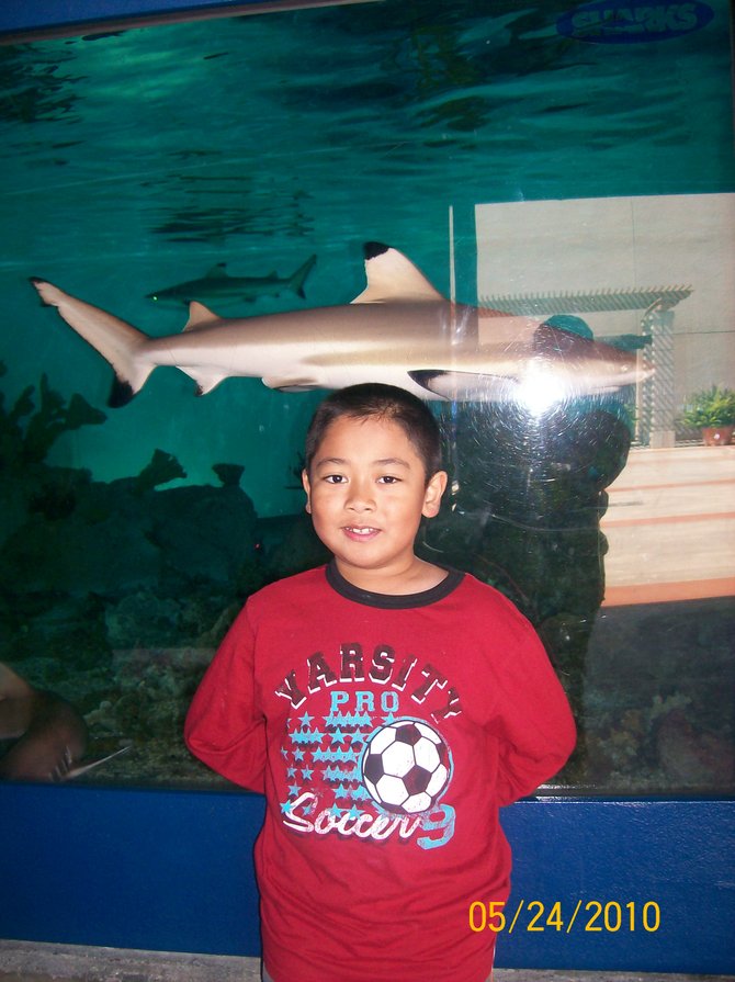 Ethan at the Birch Aquarium Shark Reef.
