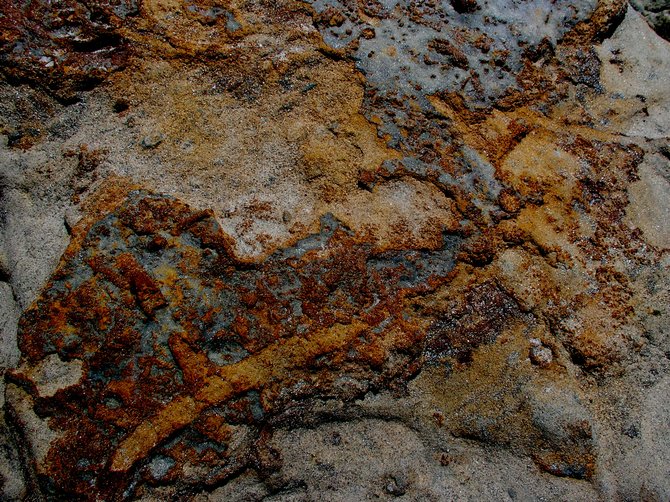 Oxidized Sandstone, Del Mar Beach