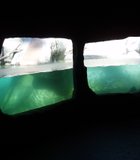This is the underground view of the otter tank at the San Diego Zoo. The otters were hiding on this day, but the tank windows …