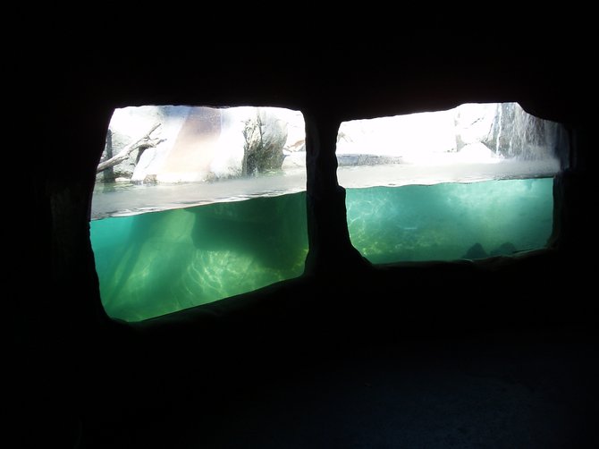 This is the underground view of the otter tank at the San Diego Zoo. The otters were hiding on this day, but the tank windows look as if you are peering through a pair of binoculars. 
