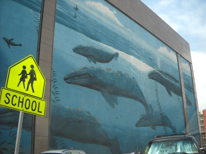 Wyland's Whales along bank building wall on Kettner Blvd.