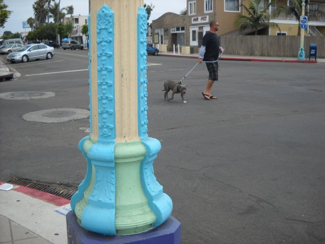 Not only are the utility boxes creatively painted in Ocean Beach--so are the Light Poles!