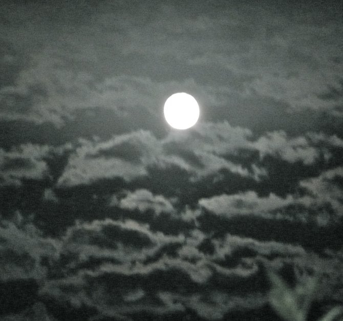 July's full Moon 2010
