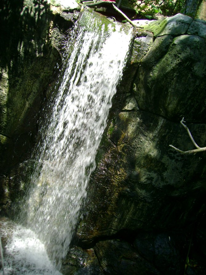 San Diego Zoo waterfall
