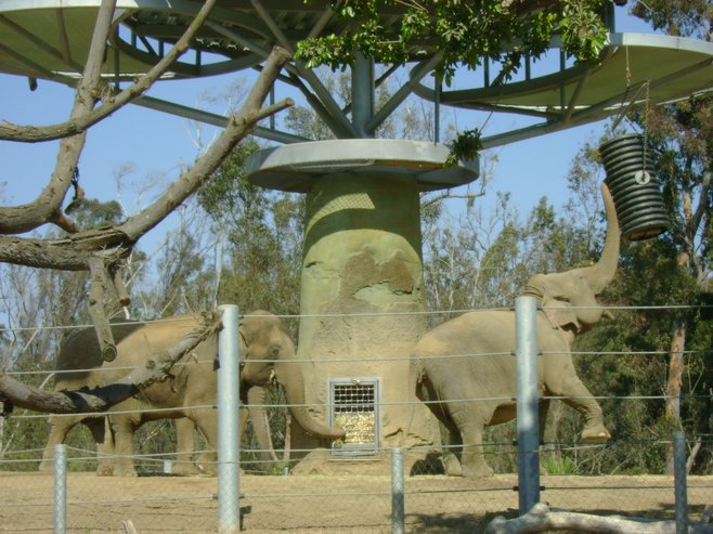 San Diego Zoo photo