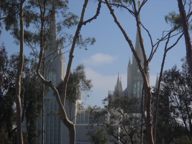 Beautiful Mormon Temple seen through the eucalyptus trees of La Jolla Village Square.