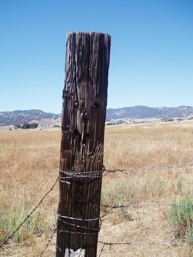 This post, behind the parking lot at Dudley's Bakery in
Santa Ysabel, seems to have a Halloween jack-o-lantern's face carved
into. Autumn has arrived.