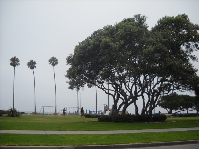 A foggy day at Kellogg Park-La Jolla Shores.