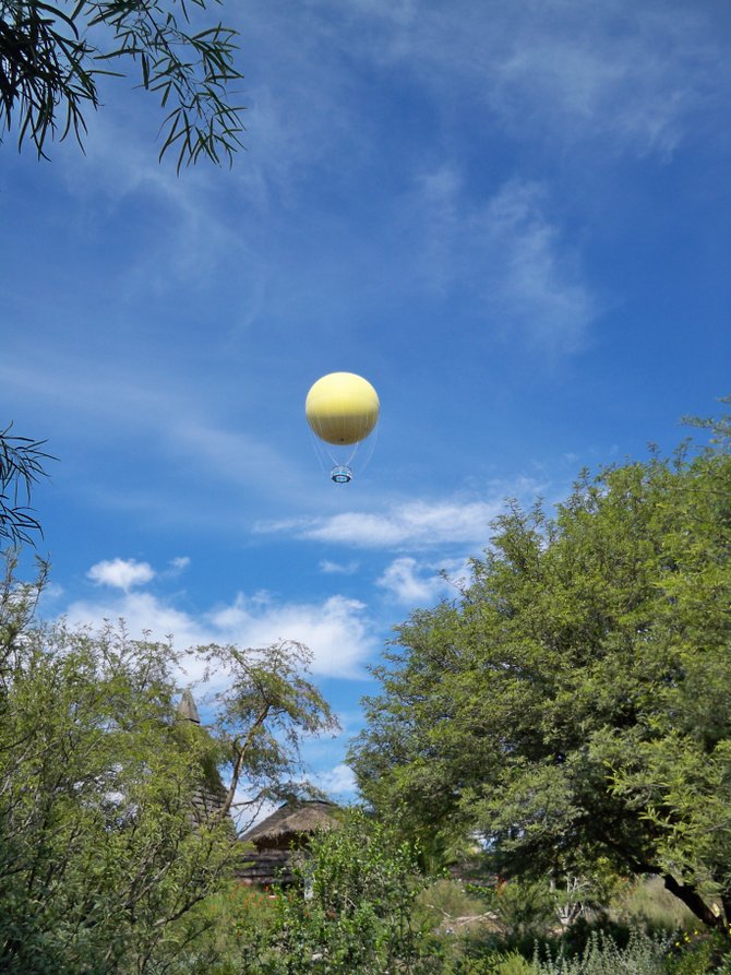 The balloon ride soars high above the Wild Animal Park.