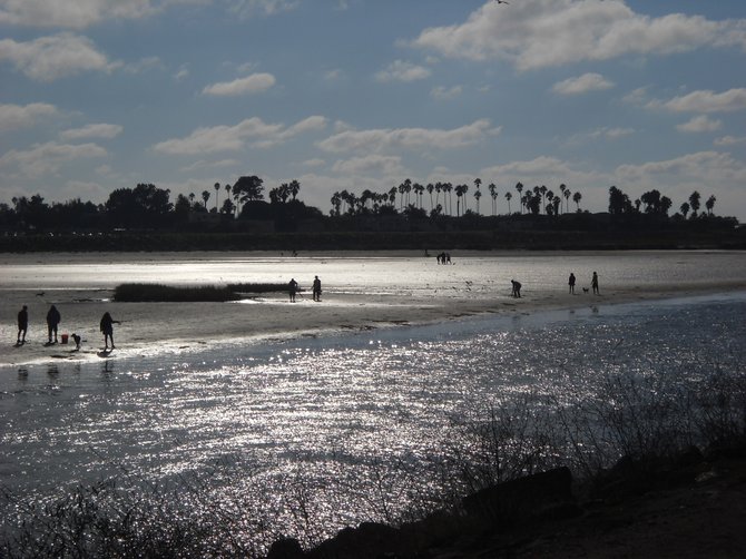 Dog Beach glistening in the late afternoon sun-seen fromthe Mission Bay jetty.
