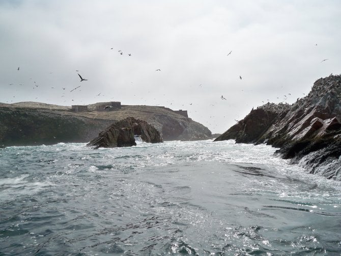  Islas Ballestas off the coast of Paracas, Peru