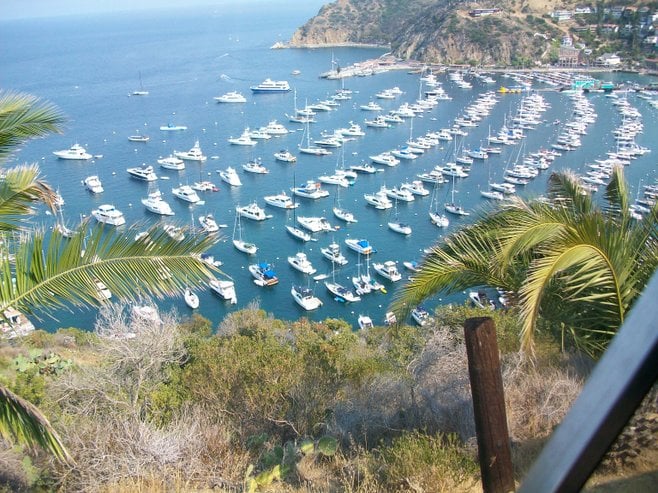 Catalina Island photo