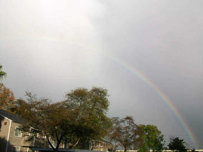 Most beautiful full arc RAINBOW appeared after the deluge!
