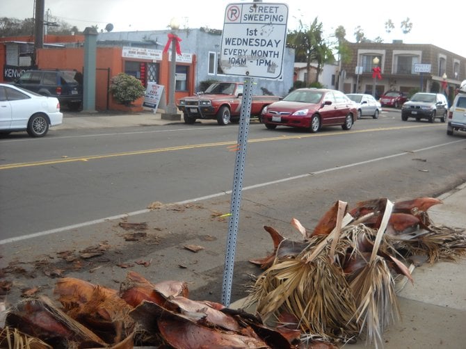 Messy leftovers from rain deluge along Sunset Cliffs Blvd.