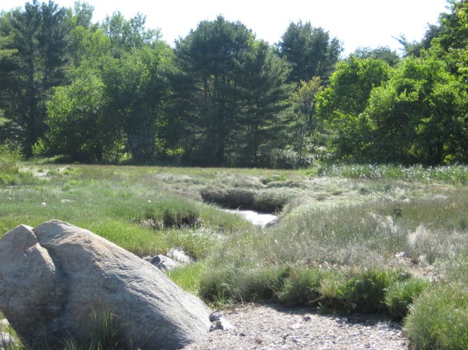 This is what the beach looks like in Blue Hill, Maine!
