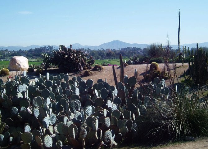 A view of the back country foothills through the cactus garden in Balboa Park.