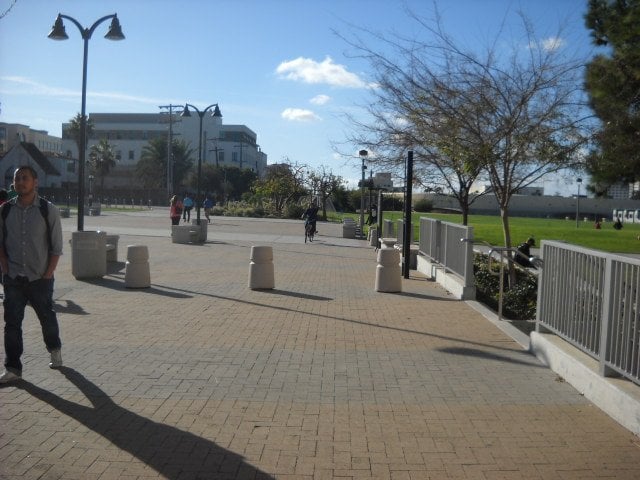 A quiet afternoon on SDSU campus in January.