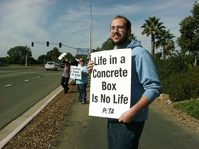 An activist holding a sign on Sea World Drive, Feb. 5, 2011.
