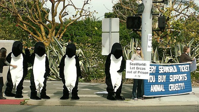 These orca characters got arrested on Feb. 5, 2011.
