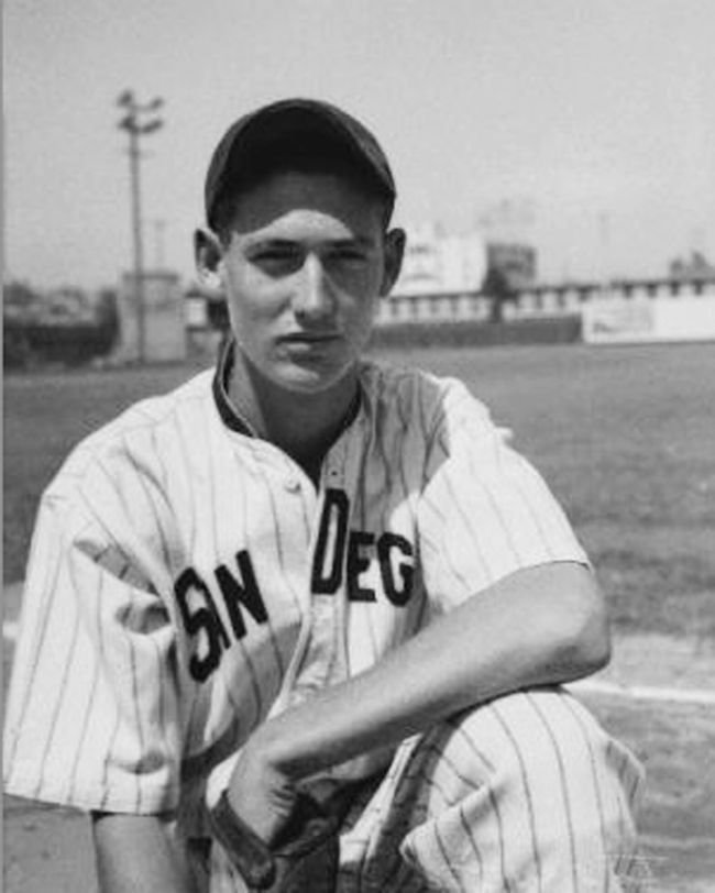 Image result for ted williams young
