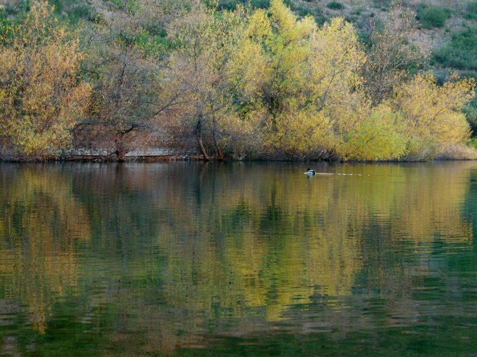The photo was taken at lake poway. i was having a picnic and decided to walk around to the other side of the lake where there was a little beach.