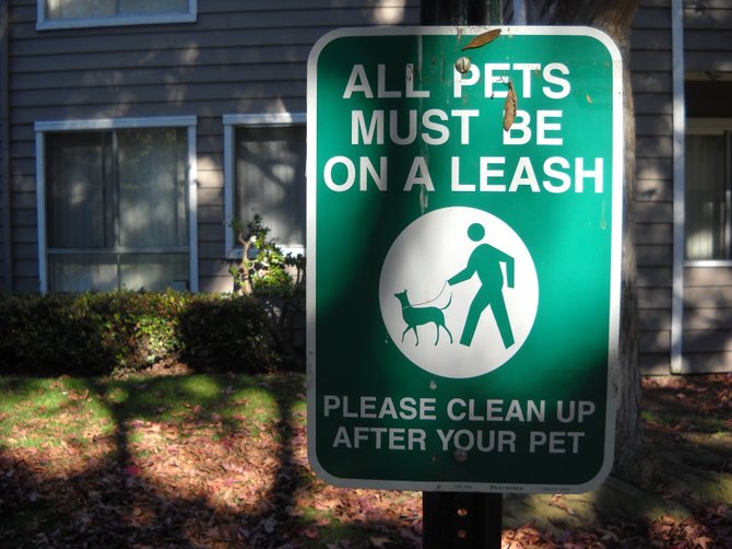 Hopeful reminder to dog-walkers in Ocean Beach.