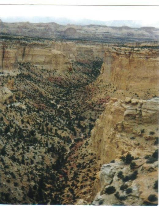 Canyon on the San Rafael Swell, UT.  I love this place!!!