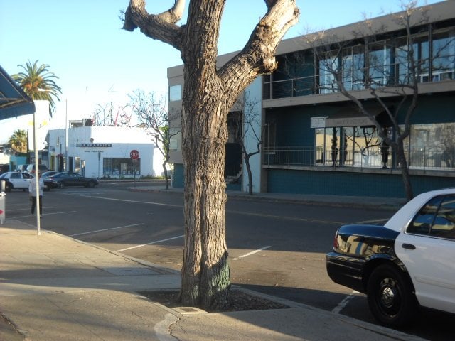 Canon Street in Point Loma closed off due to fatal motorcycle accident on 03/31.