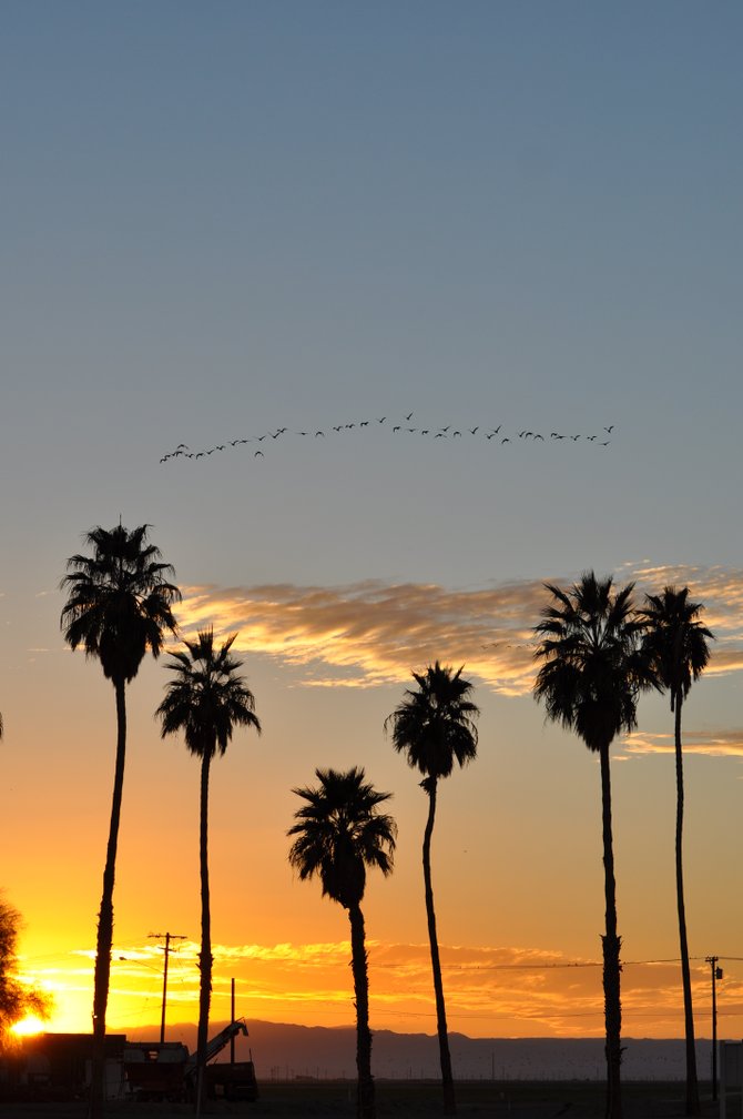 Sunset at the Imperial Valley Pioneers Museum.
