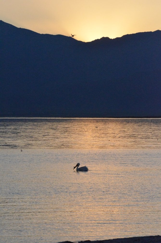 Another beautiful sunset off the Salton Sea which is located in the Imperial Valley.  This was taken at North Shore off Hwy 111, North of El Centro, CA.